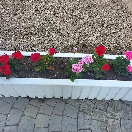 мареа Апартаменты Свети-Влас