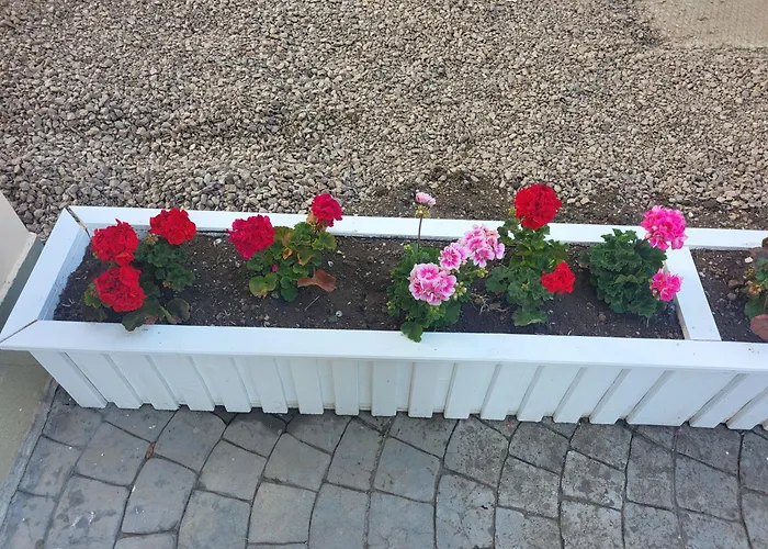 мареа Апартаменты Свети-Влас